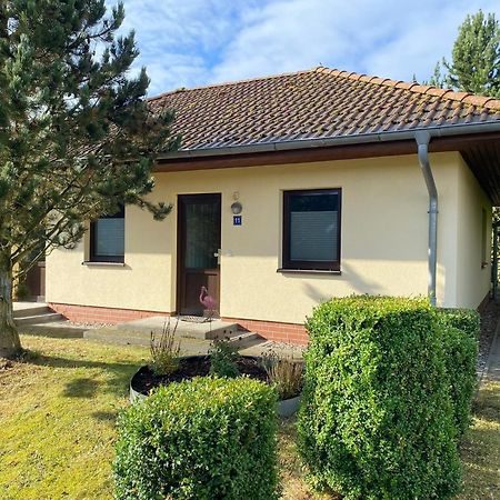 Ferienhaus Vogelmeer Marlow Esterno foto